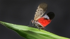 ����λ������