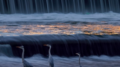 �ƻ���ɺ������