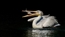 С������