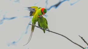 �������