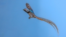 �׸��༦��Ʈ�裡