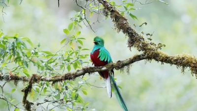 ��β��ҧ��