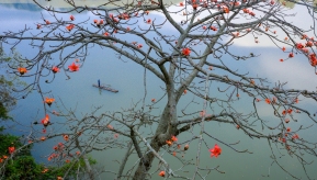 �󽭵�ľ�޻�����