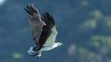 ���u����