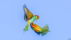 ��ս����