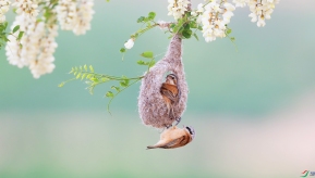 �л���ȸ