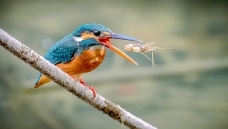 ����һ��