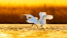 ��׷����