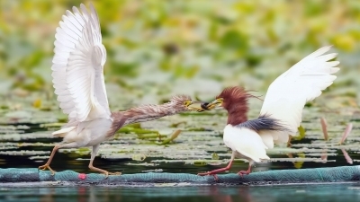 ��������