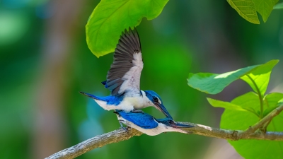 �ּ�����