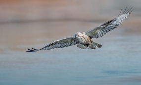 �������ϵķ���إ�������Ļ���