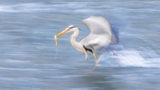 �����еĲ�����