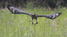 ���ض���