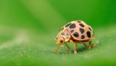 �볿¶����