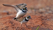 ������Ϣ