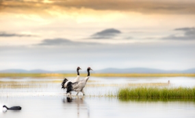 �ƶ��µ�˫��