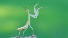 ����к�