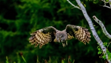 ���������^