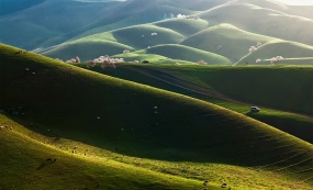 �½����紺Ұ