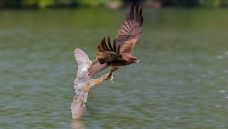 ���ַ���