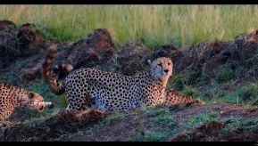 ���鹲�ܴ��ͬ��