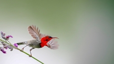 ������֣�