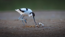 �� �� ף����ʦ�ٻ񱾰����