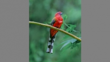 ���¾���