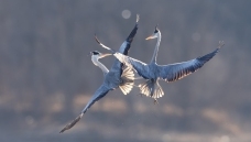 ����PK��������