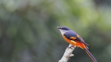 �Һ�ɽ����