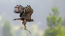 ץ��һ����