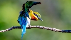 �������ӿ�����