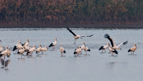 ף��ʦ���´����֣�