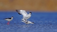 ����һ��