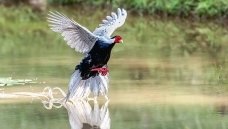 ˮ������