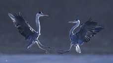 ����:����