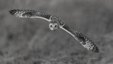 ����Ŀ��