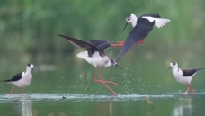 ���ҵ�����