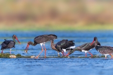 ����˼���Լ�����