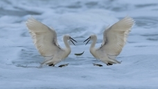 ��һ��֮����