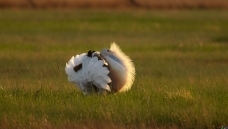 �����ġ�ըë��ѡ��