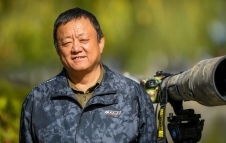   �ƺ�Ѱ��  �ҵĸ�ԭ��Ӱ��·