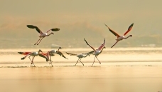 ů���¡�����������