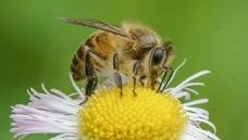 ���͵��۷� ���ػ�΢�ྫ����