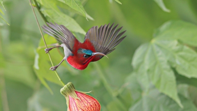 ֻҪ��������ֹ��һ�䡪��