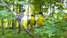 �������