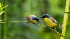 �������� 02