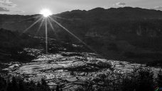 �����ճ�