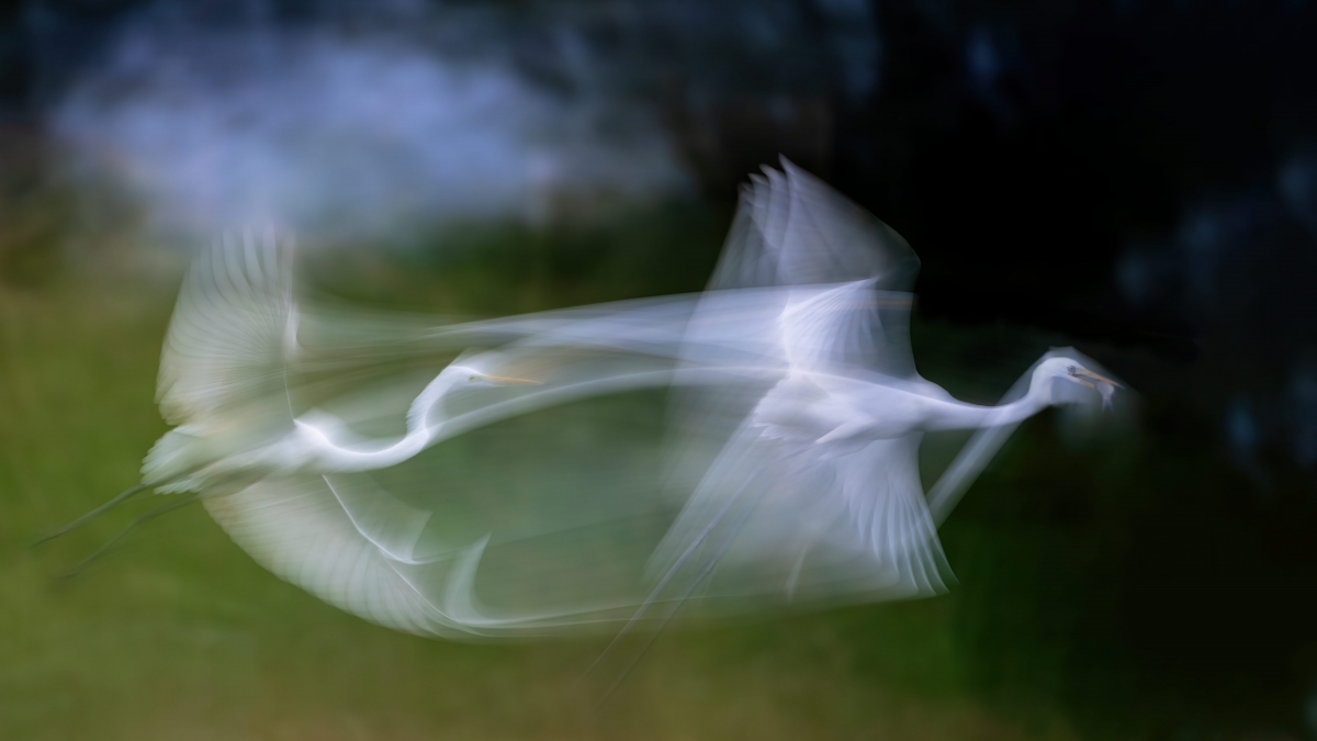 ��Ӱ����