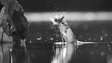 �������㣬�����